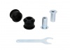 Control Arm Lower - Bushing Kit-Double Offset