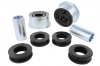 Control Arm Lower - Inner Front Bushing Kit-Double Offset