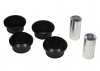 Control Arm Lower - Inner Rear Bushing Kit-Double Offset