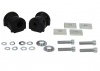 Control Arm Lower - Inner Rear Bushing Kit-Double Offset