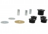 Differential Mount - Bushing Kit