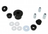 Differential Mount - Bushing Kit