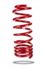 Pedders Trakryder Coil Spring