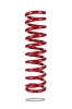 Pedders Trakryder Coil Spring